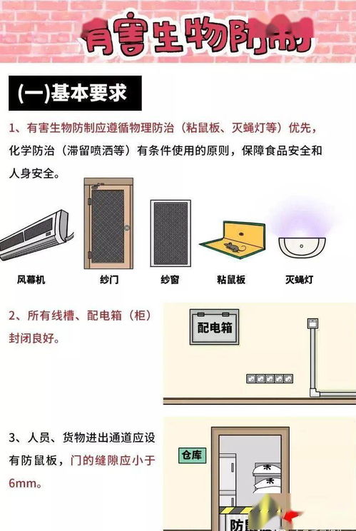 食品安全管理核心要點 從清洗消毒到有害生物防控
